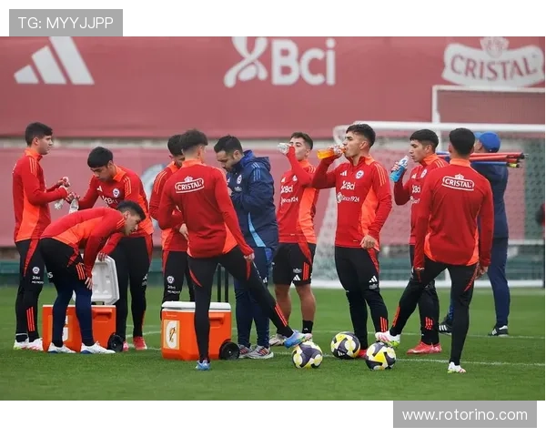 智利队世界杯前景